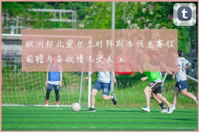 欧洲杯北爱尔兰对阵斯洛伐克赛程前瞻与备战情况受关注