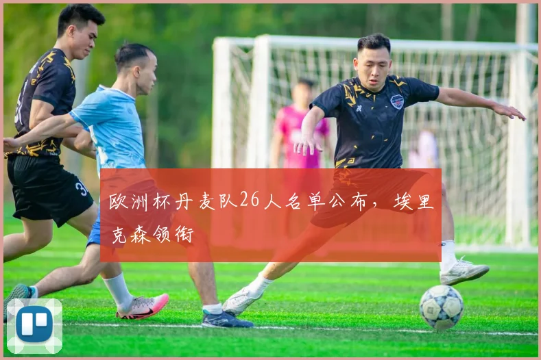 欧洲杯丹麦队26人名单公布,埃里克森领衔