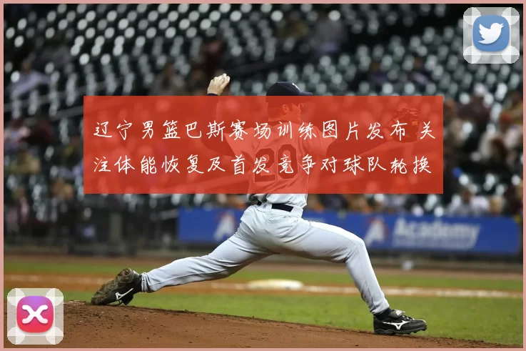 辽宁男篮巴斯赛场训练图片发布 关注体能恢复及首发竞争对球队轮换影响