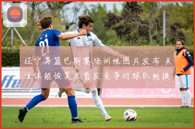 辽宁男篮巴斯赛场训练图片发布 关注体能恢复及首发竞争对球队轮换影响