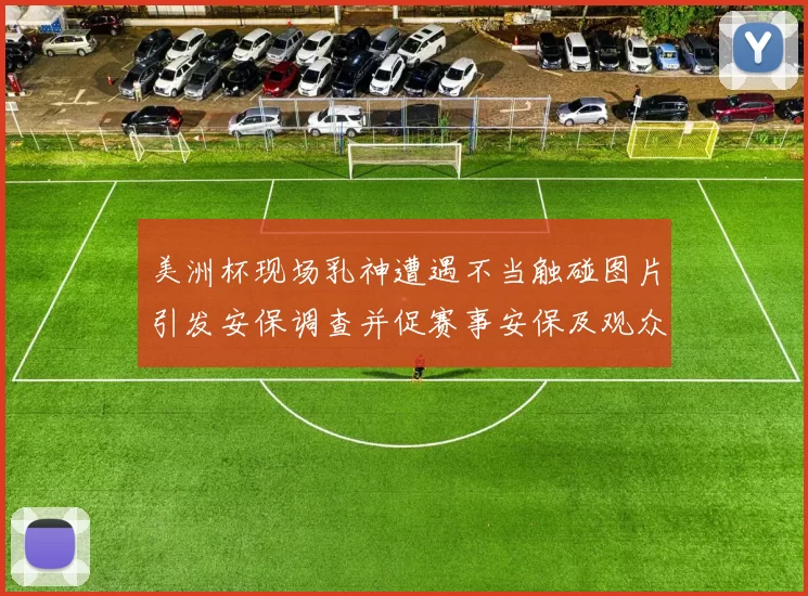 美洲杯现场乳神遭遇不当触碰图片引发安保调查并促赛事安保及观众管理检讨