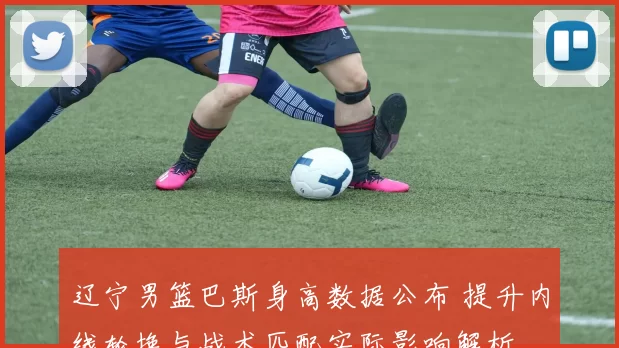 辽宁男篮巴斯身高数据公布 提升内线轮换与战术匹配实际影响解析