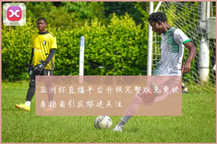 亚洲杯直播平台升级完整版免费收看指南引发球迷关注
